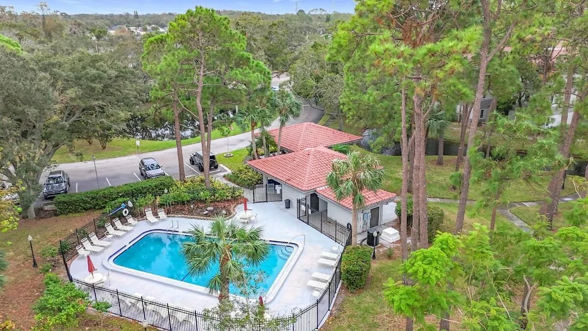 Clearwater Spacious Getaway- Comfort &Convenience Apartment